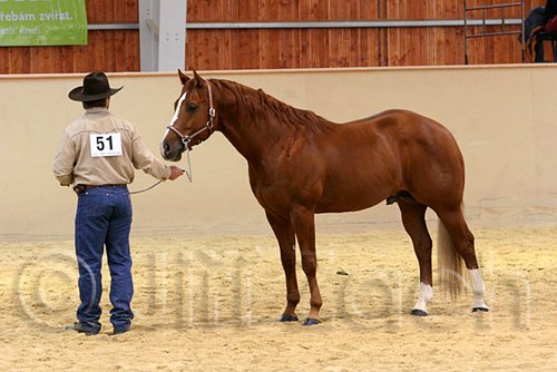 QH062_0298n.jpg