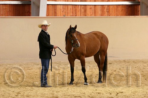 QH062_0299n.jpg