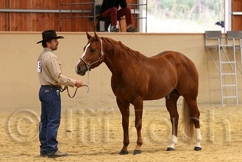 QH062_0301n.jpg
