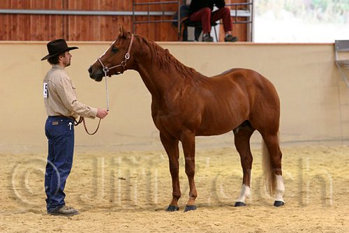 QH062_0302n.jpg