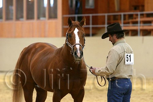 QH062_0305n.jpg