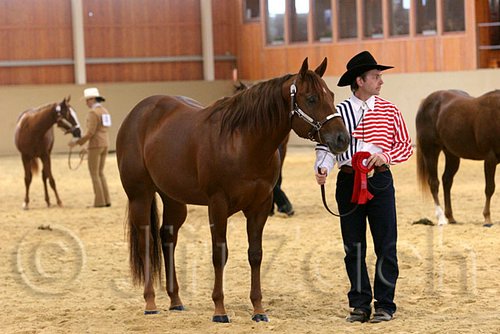QH062_0306n.jpg