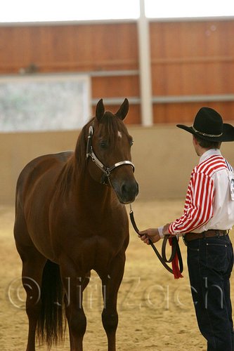 QH062_0307n.jpg