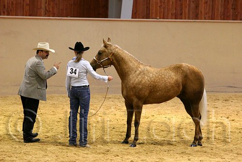 QH062_0315n.jpg