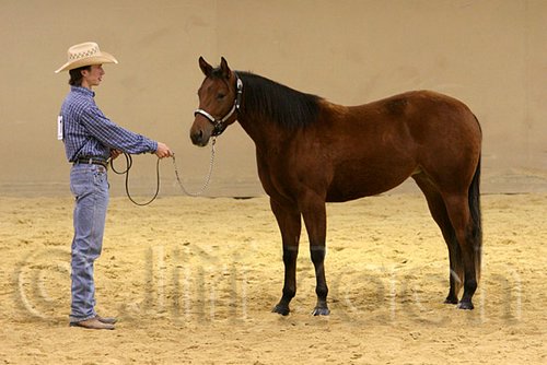 QH062_0316n.jpg