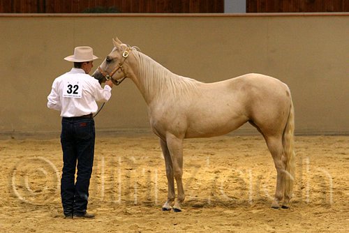 QH062_0317n.jpg