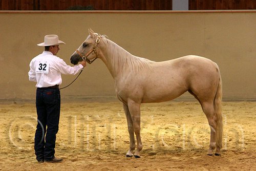 QH062_0318n.jpg