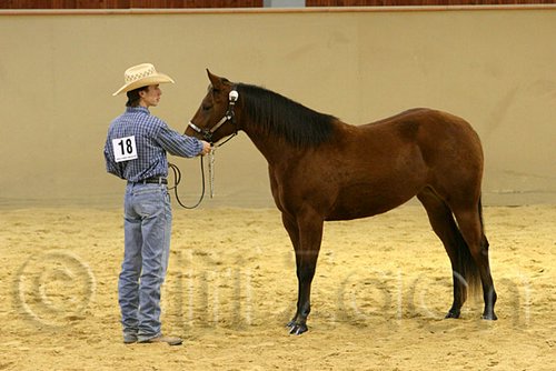 QH062_0319n.jpg