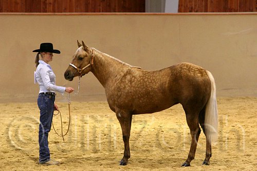 QH062_0320n.jpg