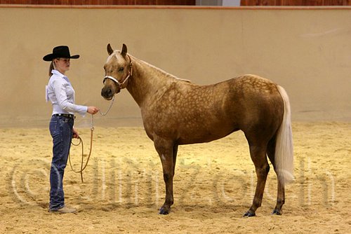 QH062_0321n.jpg