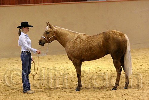 QH062_0323n.jpg