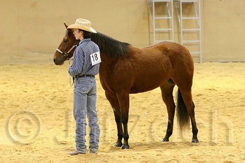 QH062_0324n.jpg