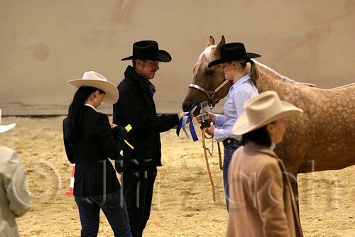QH062_0325n.jpg
