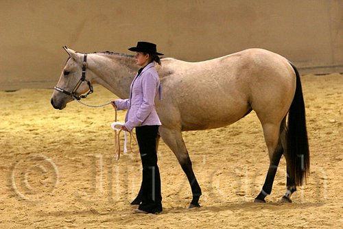QH062_0329n.jpg
