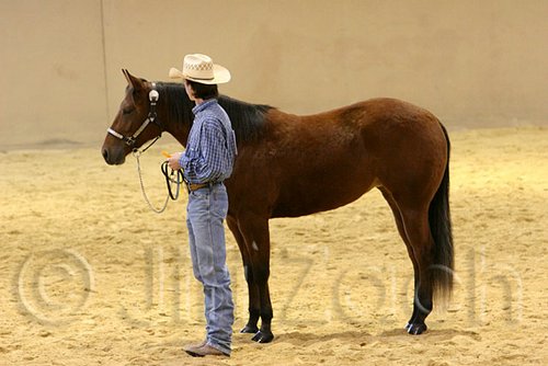 QH062_0330n.jpg