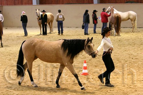 QH062_0331n.jpg