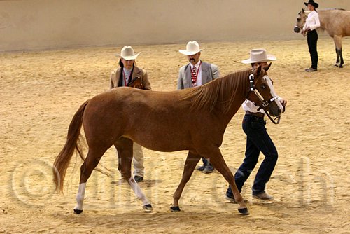 QH062_0333n.jpg