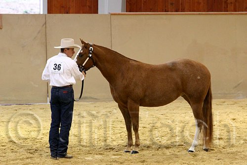 QH062_0334n.jpg