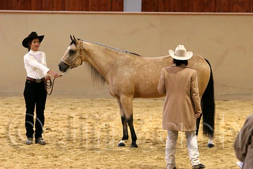 QH062_0335n.jpg