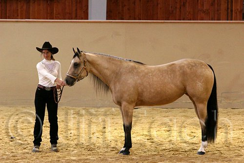 QH062_0337n.jpg