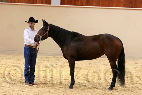 QH062_0341n.jpg