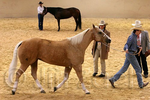 QH062_0342n.jpg