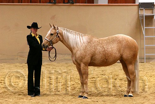 QH062_0343n.jpg