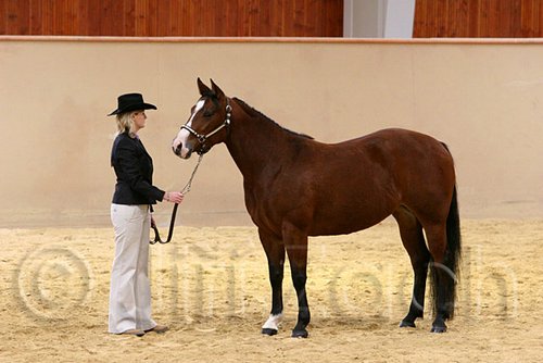 QH062_0344n.jpg