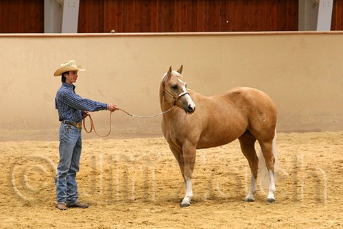QH062_0345n.jpg