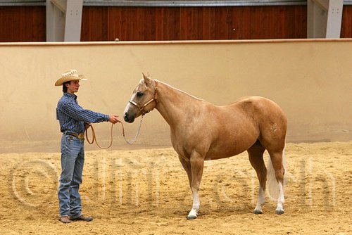 QH062_0346n.jpg