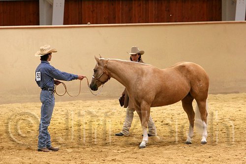 QH062_0347n.jpg