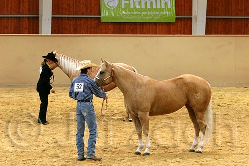 QH062_0359n.jpg