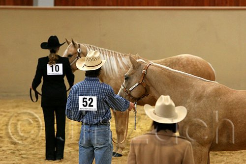 QH062_0362n.jpg