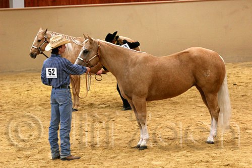 QH062_0364n.jpg