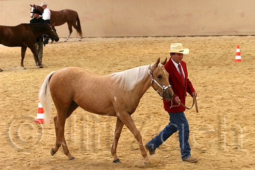 QH062_0370n.jpg