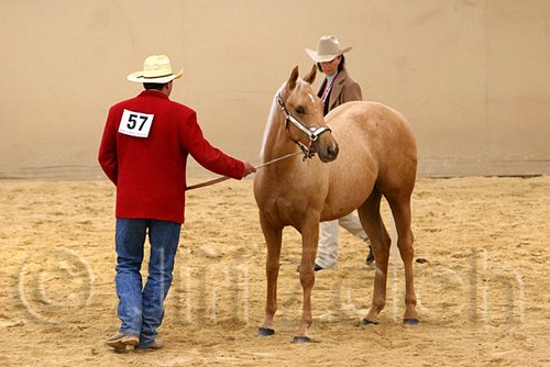 QH062_0371n.jpg