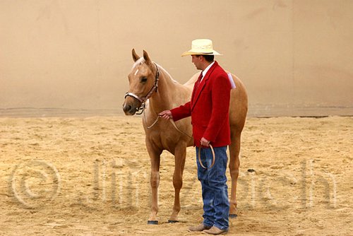 QH062_0372n.jpg