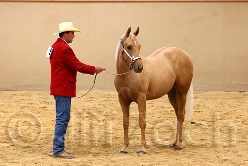 QH062_0373n.jpg