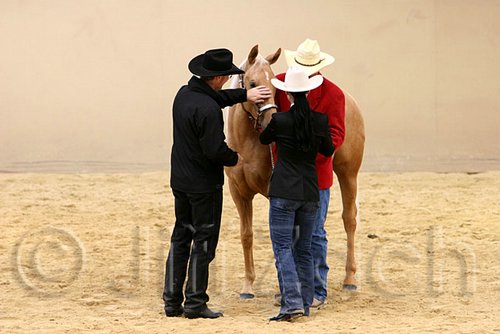 QH062_0376n.jpg