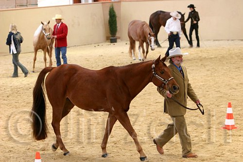 QH062_0378n.jpg
