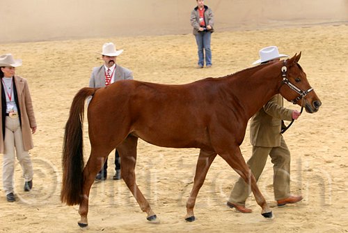 QH062_0379n.jpg