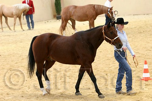 QH062_0380n.jpg