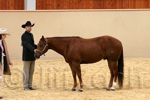 QH062_0382n.jpg