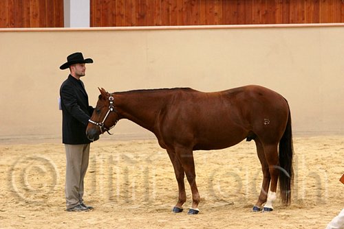 QH062_0383n.jpg