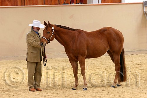 QH062_0384n.jpg