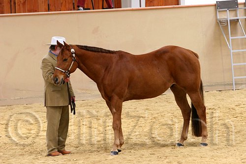 QH062_0385n.jpg
