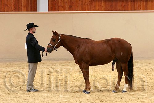 QH062_0386n.jpg
