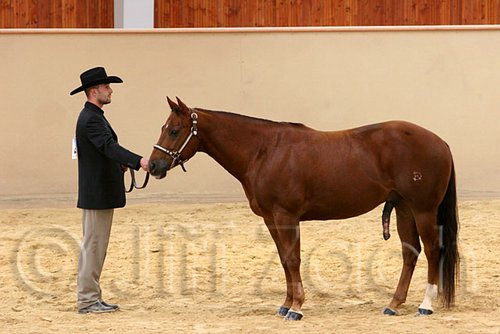 QH062_0387n.jpg