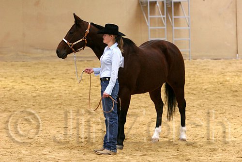 QH062_0388n.jpg