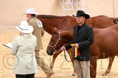 QH062_0397n.jpg